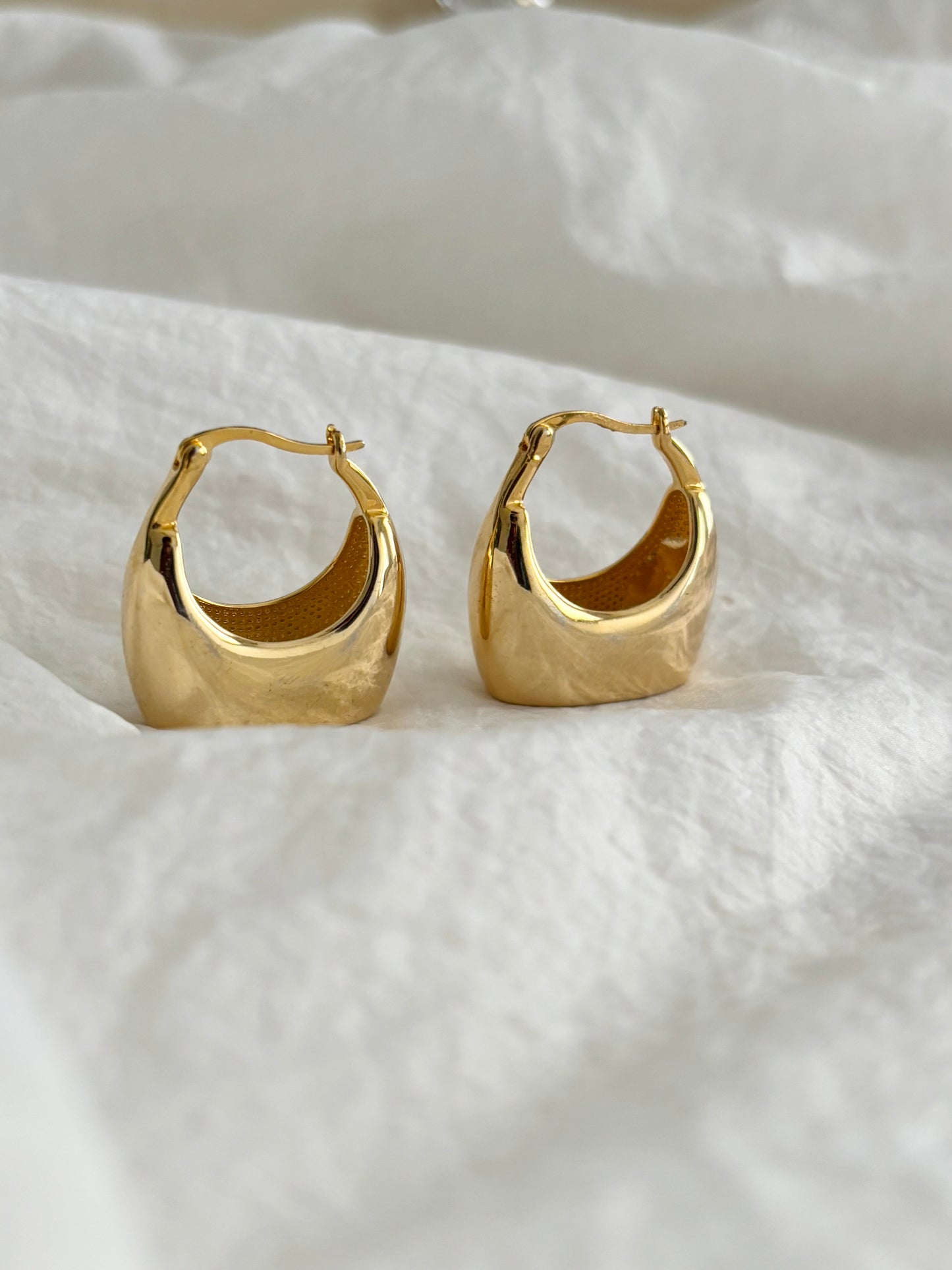 Hold my purse earrings