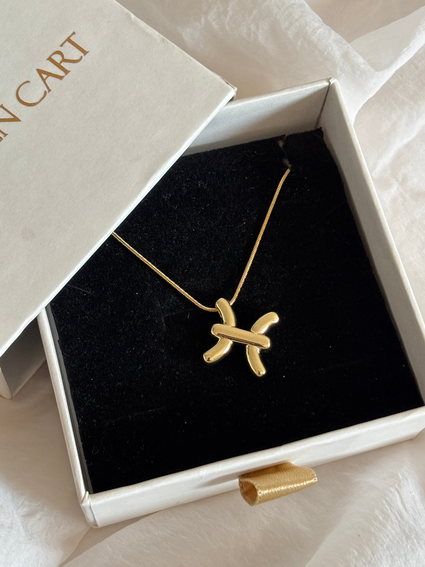 Zodiac necklace : Pisces