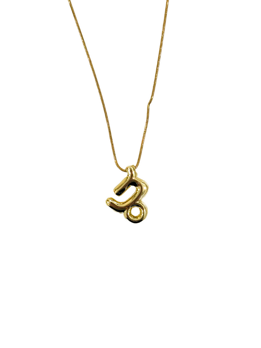 Zodiac necklace: Capricorn